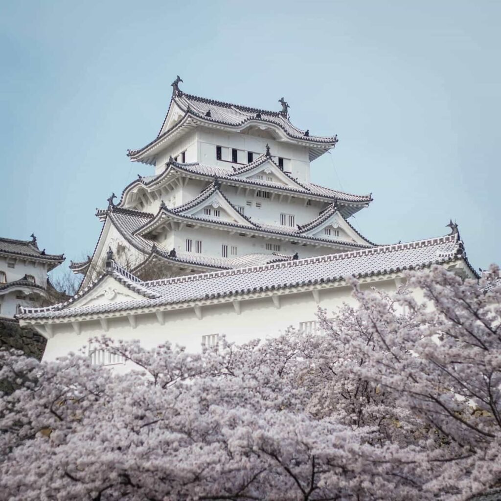 Himeji Castle in Japan with white walls and tiered roofs, surrounded by cherry blossoms.